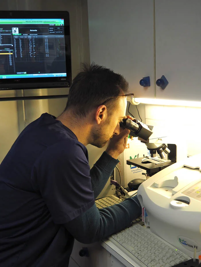 Vétérinaire réalisant une analyse au microscope en laboratoire
