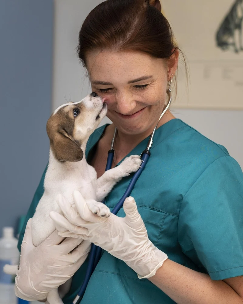 Une vétérinaire souriante portant une blouse verte examine un chiot affectueux à la clinique vétérinaire Paris 17.