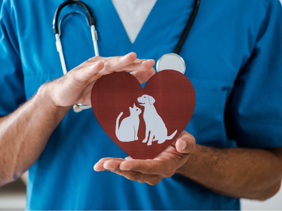 Vétérinaire tenant un cœur en carton avec des silhouettes de chien et chat.