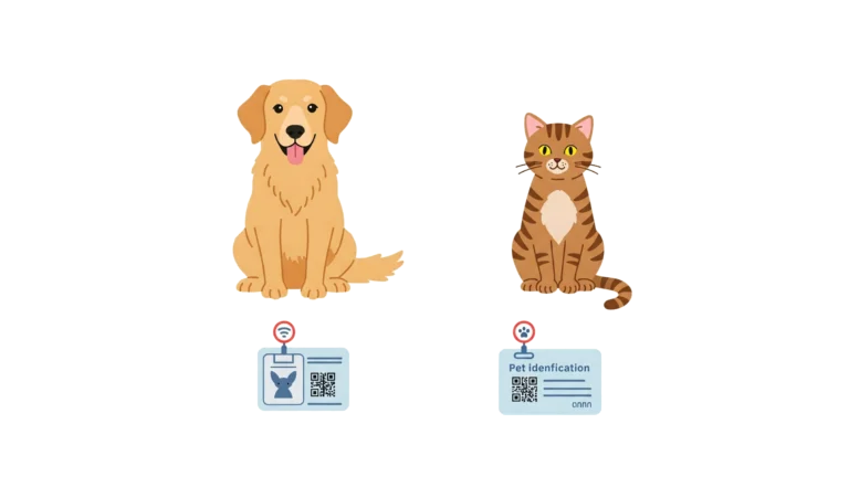 Deux animaux avec leur moyen d'identification