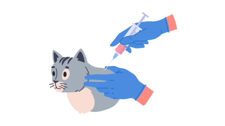 Illustration d'un chat recevant son vaccin par un professionnel de santé animale à Paris 17.