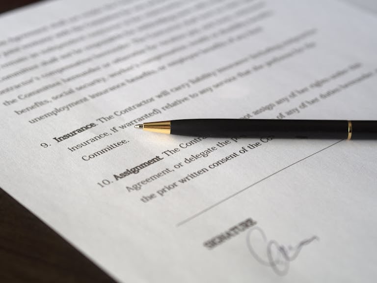 Contrat obligations et responsabilités chats