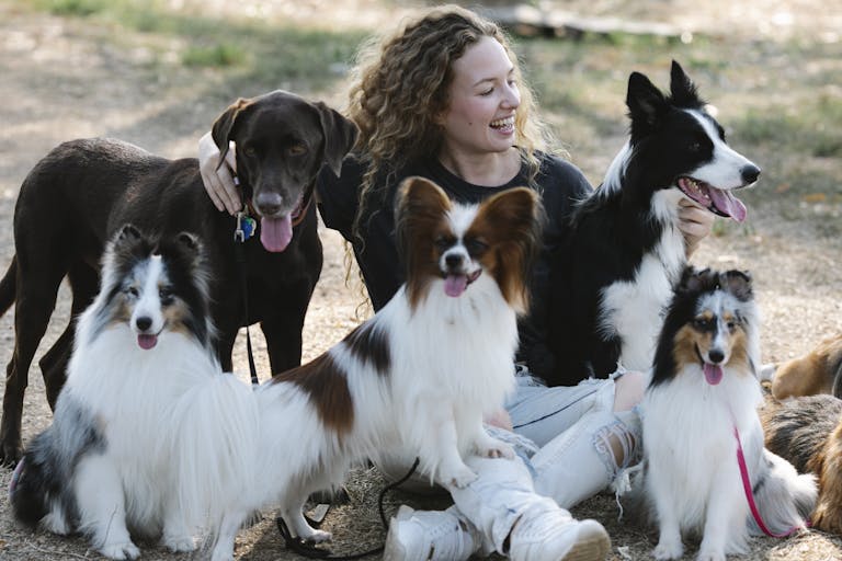 Propriétaire de chiens et ses obligations