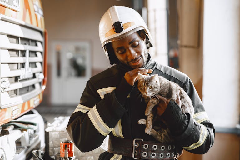 Urgence pour un chat